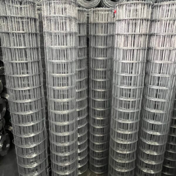 Mzansi galvanized welded mesh, 1.2 m high, 100 × 100 mm block size, 30 m roll